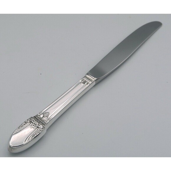 First Love 1847 Rogers Bros Silver Plated Stainless Modern Hollow Dinner Knife - Picture 1 of 3